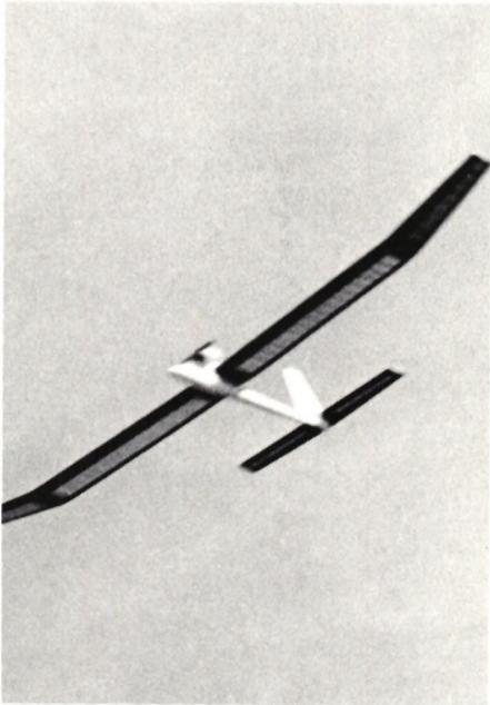 A black and white photograph of a model glider in flight, showing its long, slender wings and tail section against a light background.