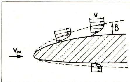 Abb. 3 Schematische Darstellung der Grenzschichten an einem schlanken Profil, Grenzschichtdicken stark übertrieben ( $v_{\infty}$ Anströmgeschwindigkeit, $v$ Geschwindigkeit am Rand der Grenzschicht, $\delta$ Grenzschichtdicke).