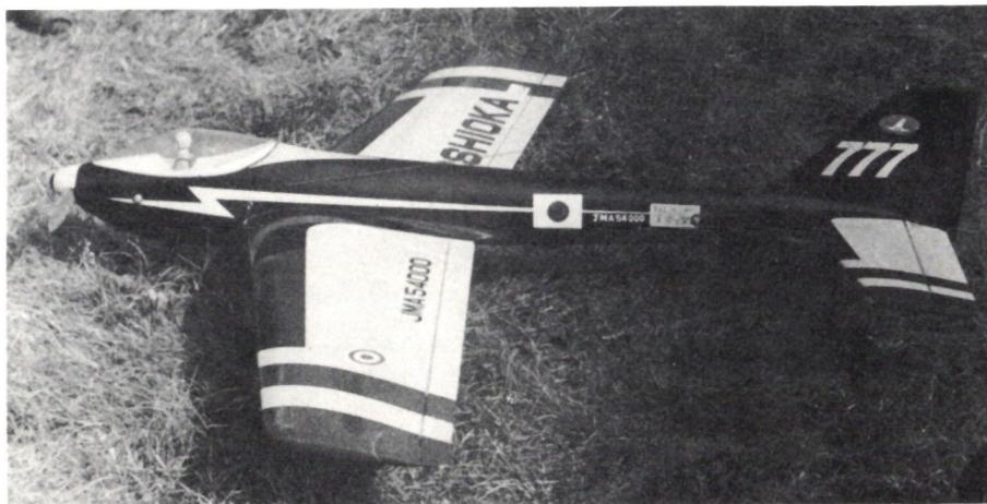 Salamandre, RC-Kunstflugmodell mit Schwenkflügel