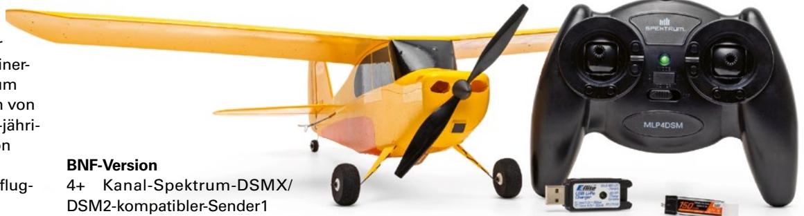 HORIZON HOBBY / LEMACO News: Champ Anniversary Special Edition 515 mm