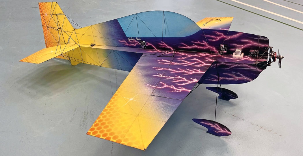 Die Leichtigkeit des Fliegens